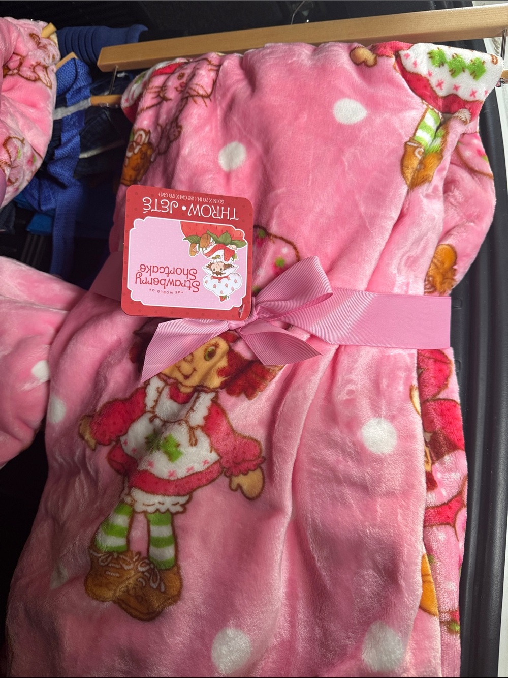 🥰 STRAWBERRY SHORTCAKE & CUSTARD THE CAT 🐈 OVERSIZED PINK THROW BLANKET 60”x70”